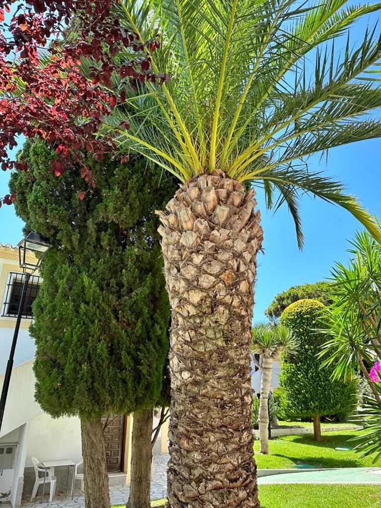 Casa De Emilia Vera Coast Playas de Vera 外观 照片